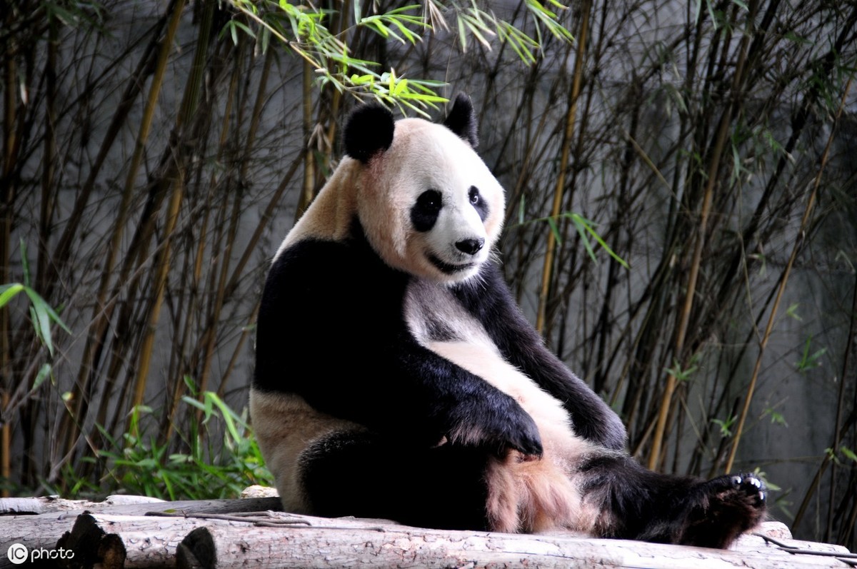 2020抖音最火十大打卡景点,抖音上最火的五大旅游景点推荐