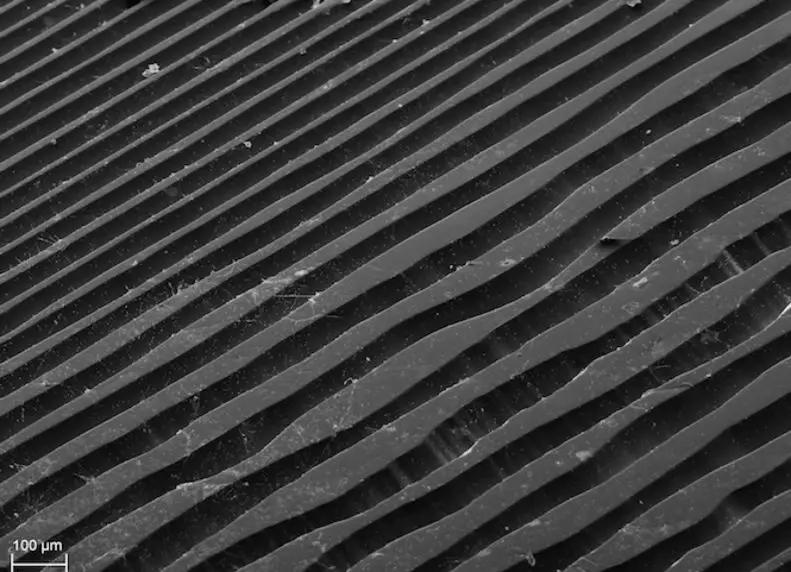 张学友黑胶完整版唱片,分享张学友黑胶唱片