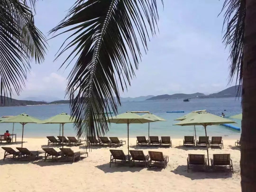 暂停台湾番荔枝和莲雾输入,暂停台湾水果进口有什么影响