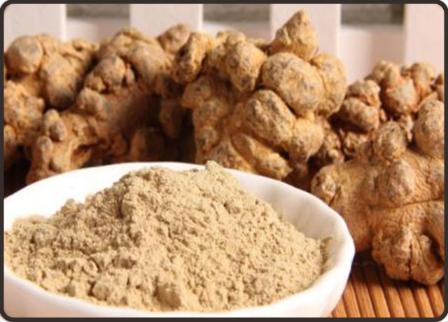 三七的功效与副作用,三七的功效与副作用及禁忌