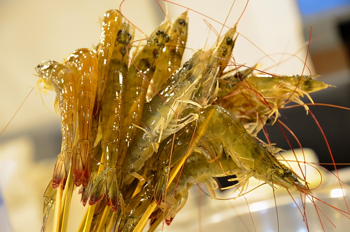 明虾基围虾白对虾的区别,基围虾明虾对虾怎么区别