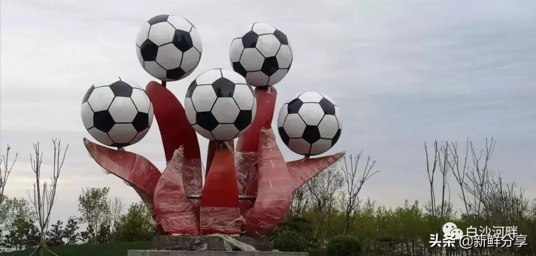 白沙湾足球基地开幕式,白沙湾足球锦标赛