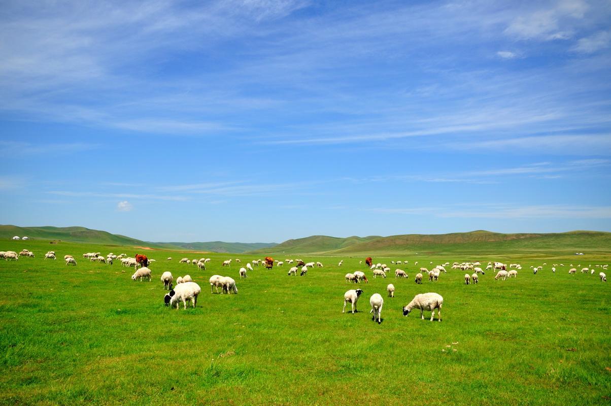韩国一斤牛肉1000块钱,韩国牛肉一斤是多少人民币