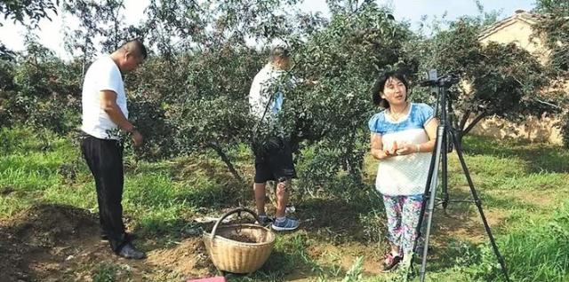 西北网红韩城花椒直播 (陕西韩城的花椒直播)