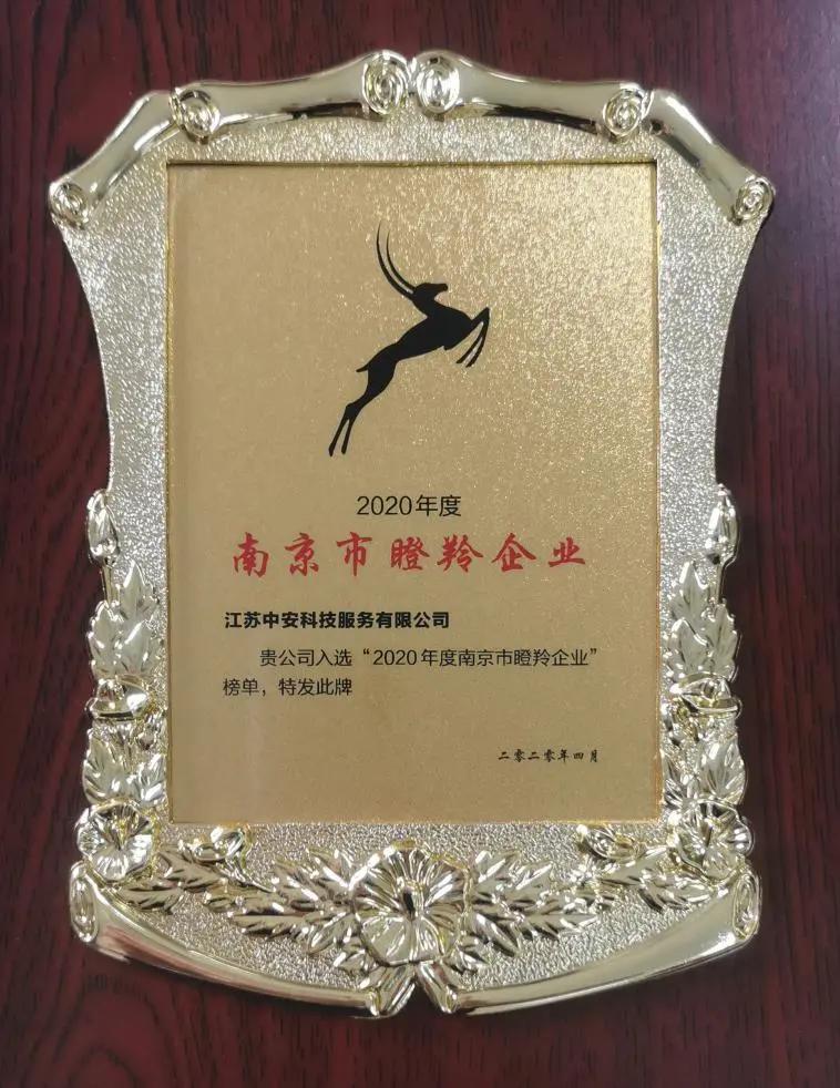 【瞪羚风采】做一流的专业安全健康技术服务提供者——江苏中安科技服务有限公司