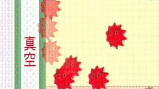 热水瓶什么材质的内胆保温时间长,热水瓶内胆能较好地保温是为什么