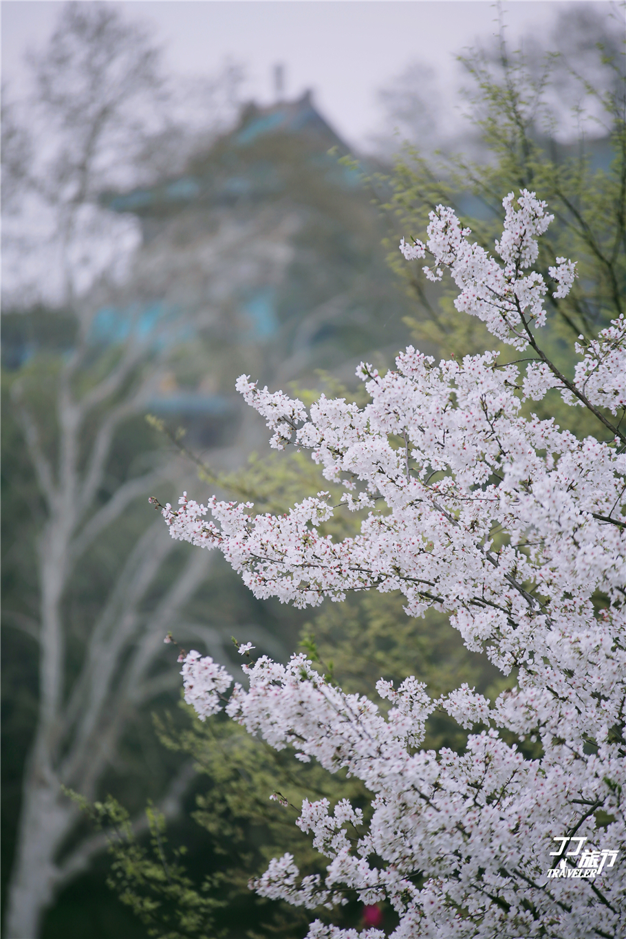 武汉最值得去的五个景点,最近武汉最值得去的景点
