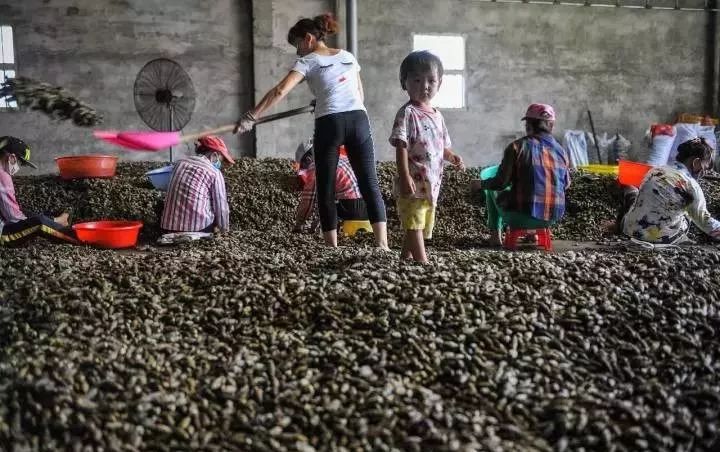 软性毒品和正在上瘾的区别 (软性毒品会上瘾吗)