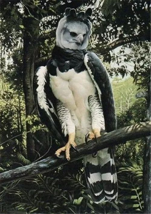 风雨飘摇话网易《网海风云》——讲述互联网昨天的故事之七