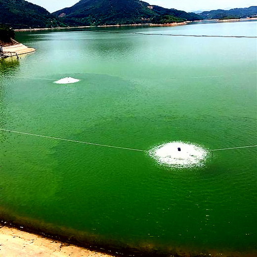 了解病毒、蓝藻以及解答化学平衡题的野路子