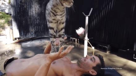 来了来了!他们带着猫猫又来了