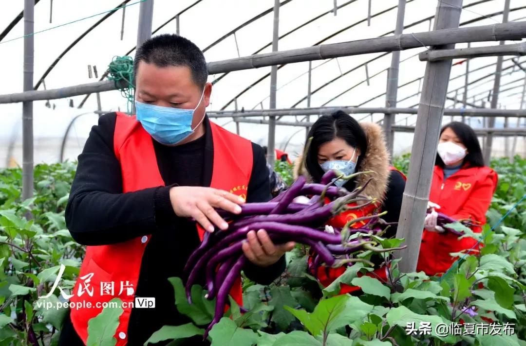 战疫二十四小时纪录片感悟,战疫最让人震撼和感动的瞬间