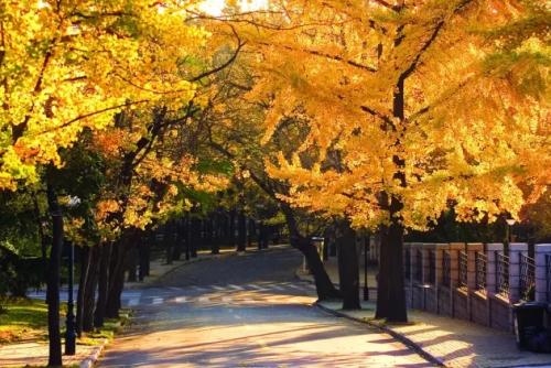 山东青岛旅游什么地方值得一去,青岛的商场哪个商场比较值得逛