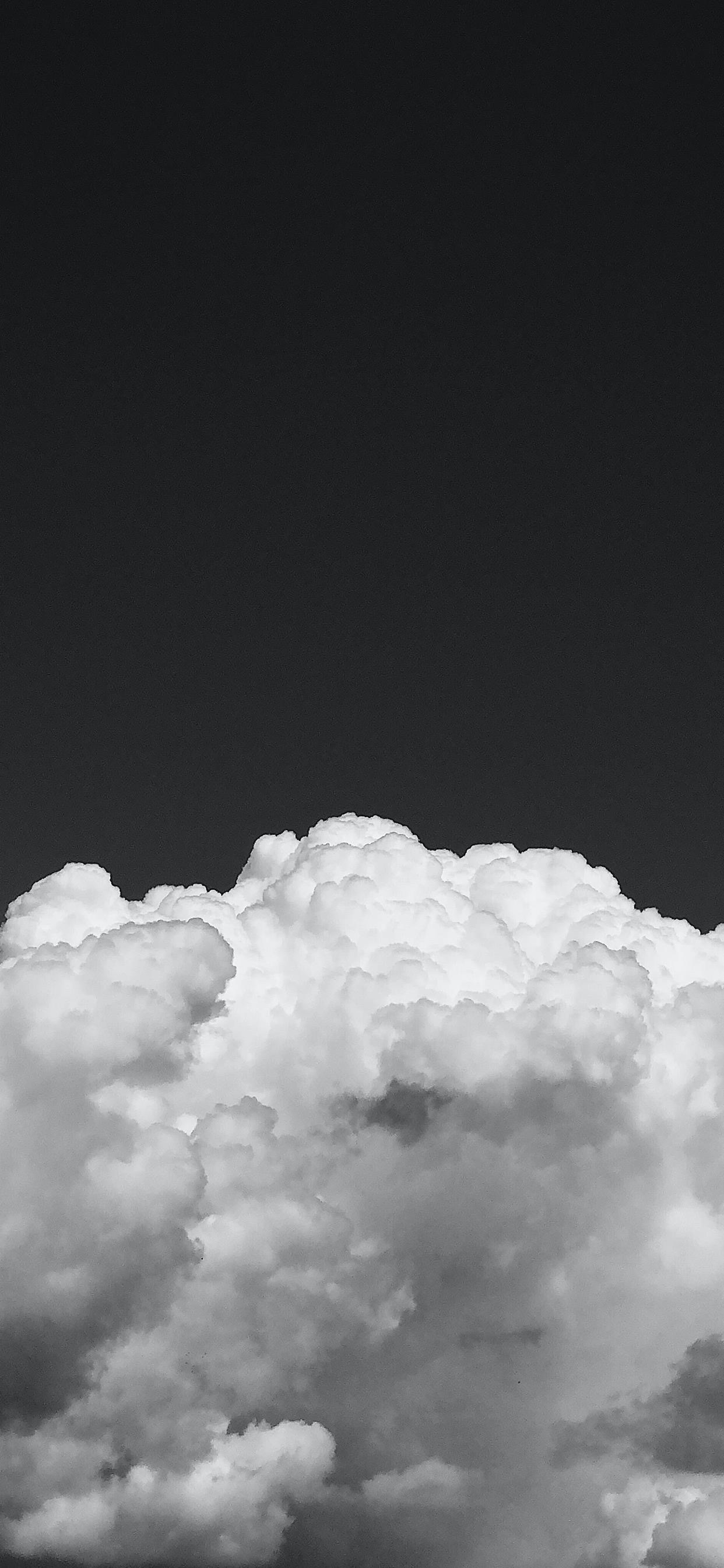 好看的壁纸少女心小熊,粉色小花白色小熊壁纸