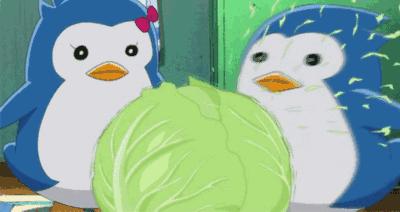 比星座还准的日本血型,比星座还准的mbti