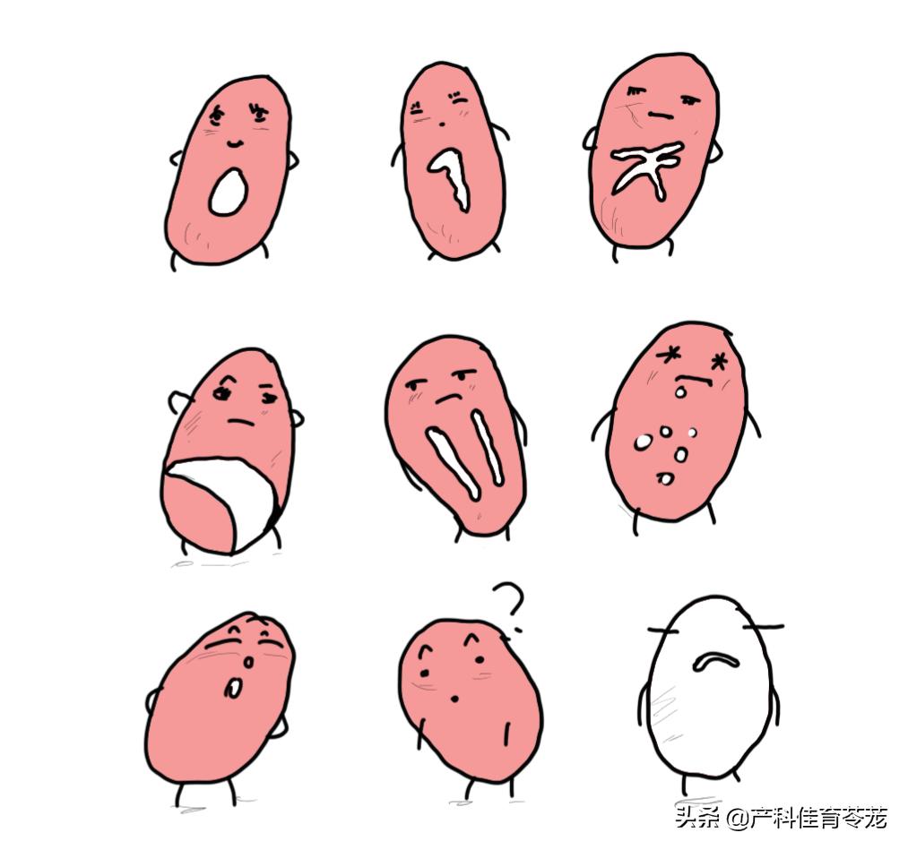 处女膜完整=处女？