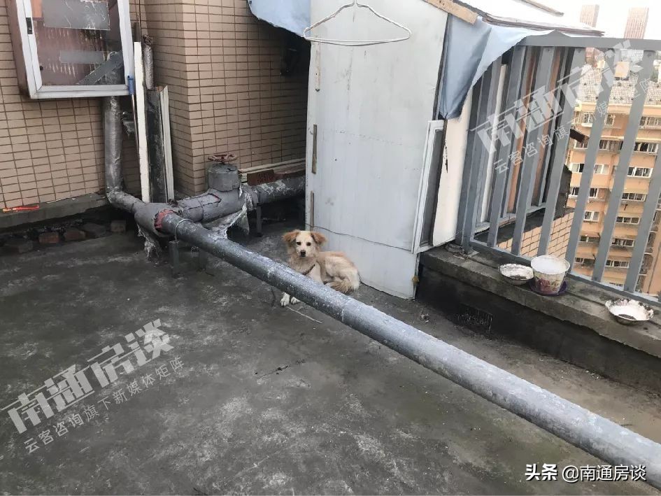 学士府与紫东花苑哪个好,学士府安置房价格