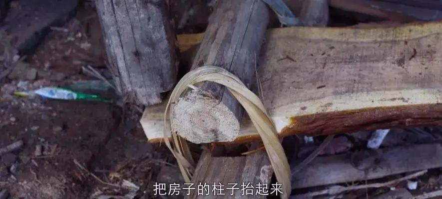 b站9.9的神作,b站9.5分以上的番