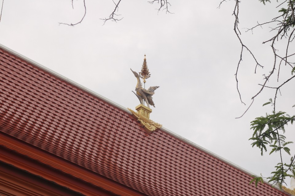 泰国游记5免费观看,泰国游记5