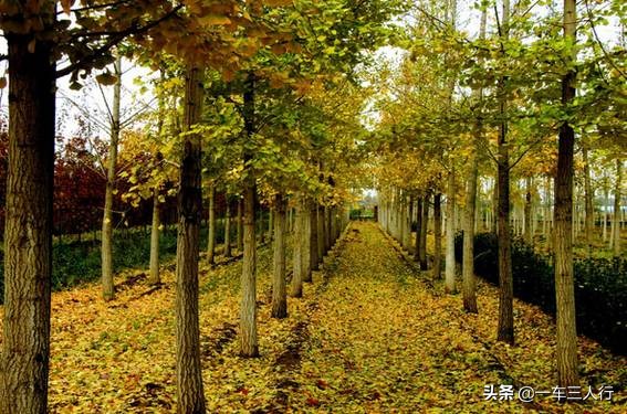 大连有一个蓝色的小城堡景点,大连秋季旅游景点攻略大全