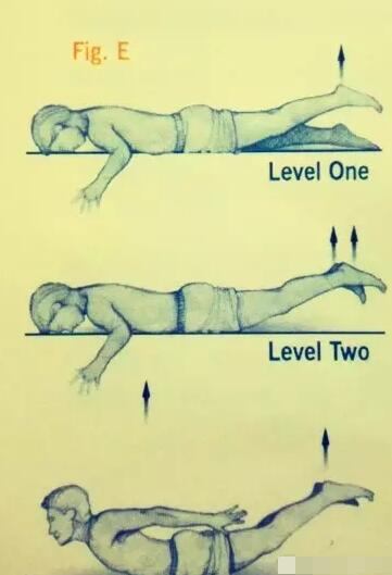 送给腰痛族的礼物——美国克利夫兰腰部GASS训练法