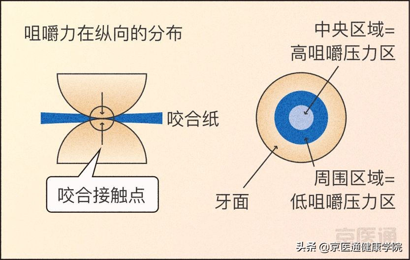 夜磨牙有什么危害吗,夜磨牙的危害