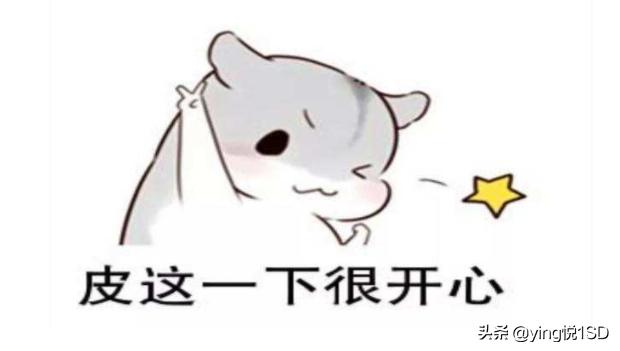 数字万用表维修全过程书,数字万用表电阻档总显示数值检修