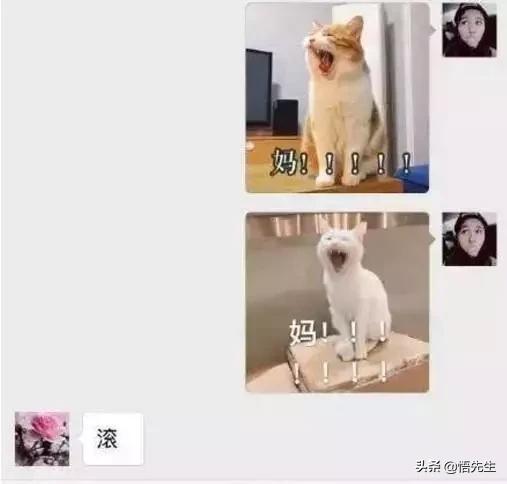 同一个世界同一个亲妈,同一个世界同一个爹妈完整版