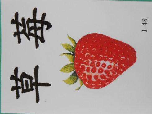 王恒屹3岁认字视频,4岁神童王恒屹熟练背诵