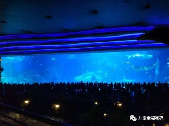 珠海长隆海洋亲子游套票,珠海长隆企鹅酒店攻略亲子游