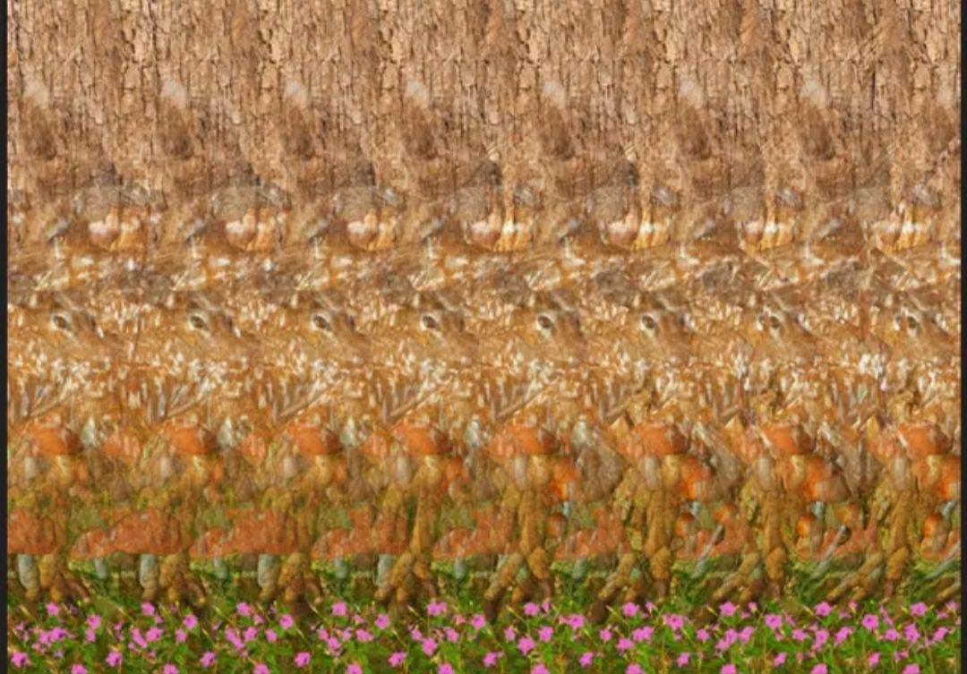 好看又好画的立体东西,超惊艳的立体画