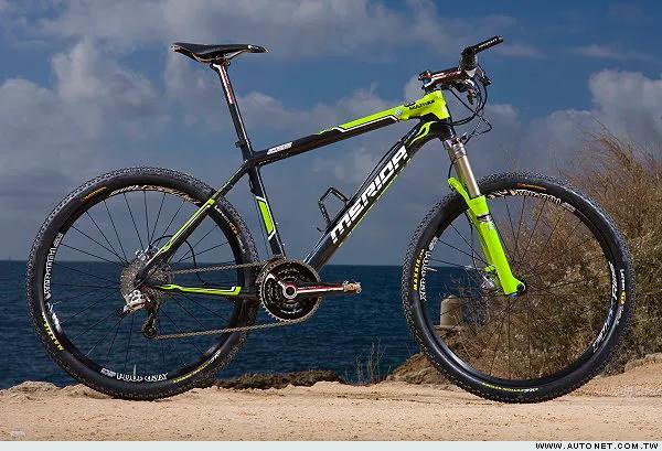 赛车自行车品牌排行榜前十名,性价比高的自行车品牌排行榜