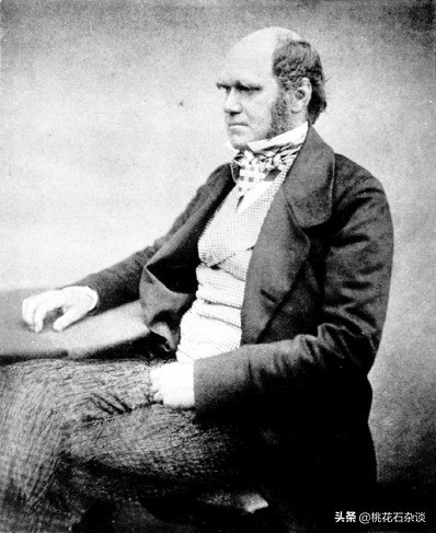 进化论是否是完全正确的,进化论具体是怎么进化的