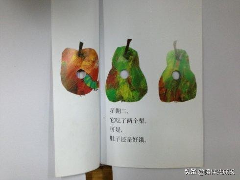 亲子绘本好饿的毛毛虫制作,亲子阅读好饿的小蛇