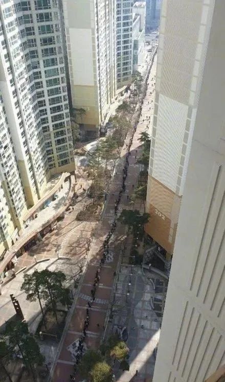 澳大利亚近几天的确诊病例,澳大利亚确诊