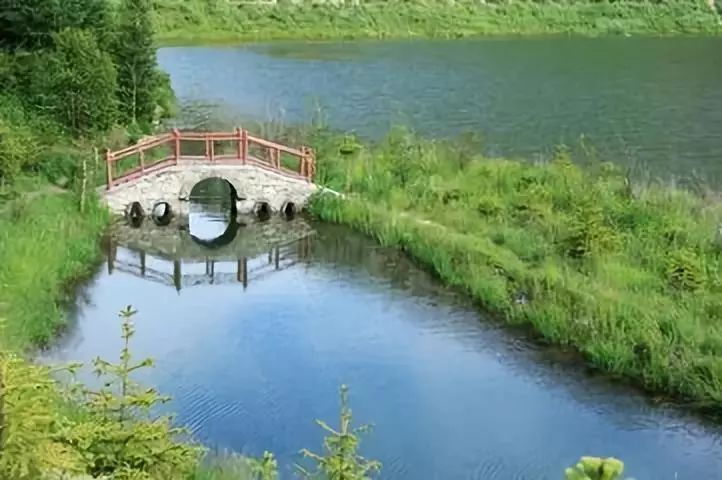 宁夏一个你来了就不想走的地方,宁夏固原最好的地方