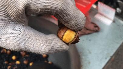 金味栗子在南京有几家店,好吃的栗子店有哪些