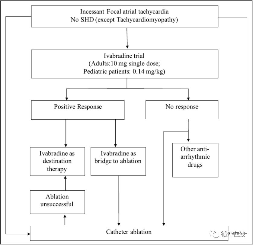 「彤心飞传」局灶房性心动过速治疗的新策略:伊伐布雷定