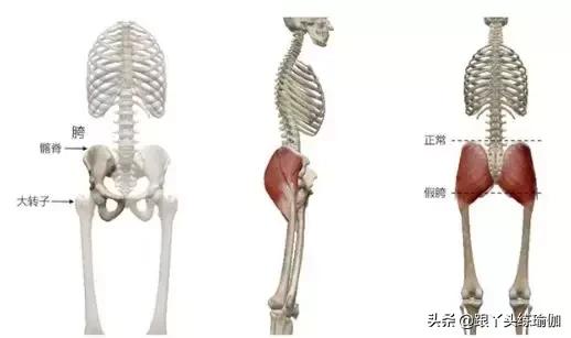 屁股大胯宽瑜伽哪些动作能改善,躺着可以改善假胯宽的瑜伽动作