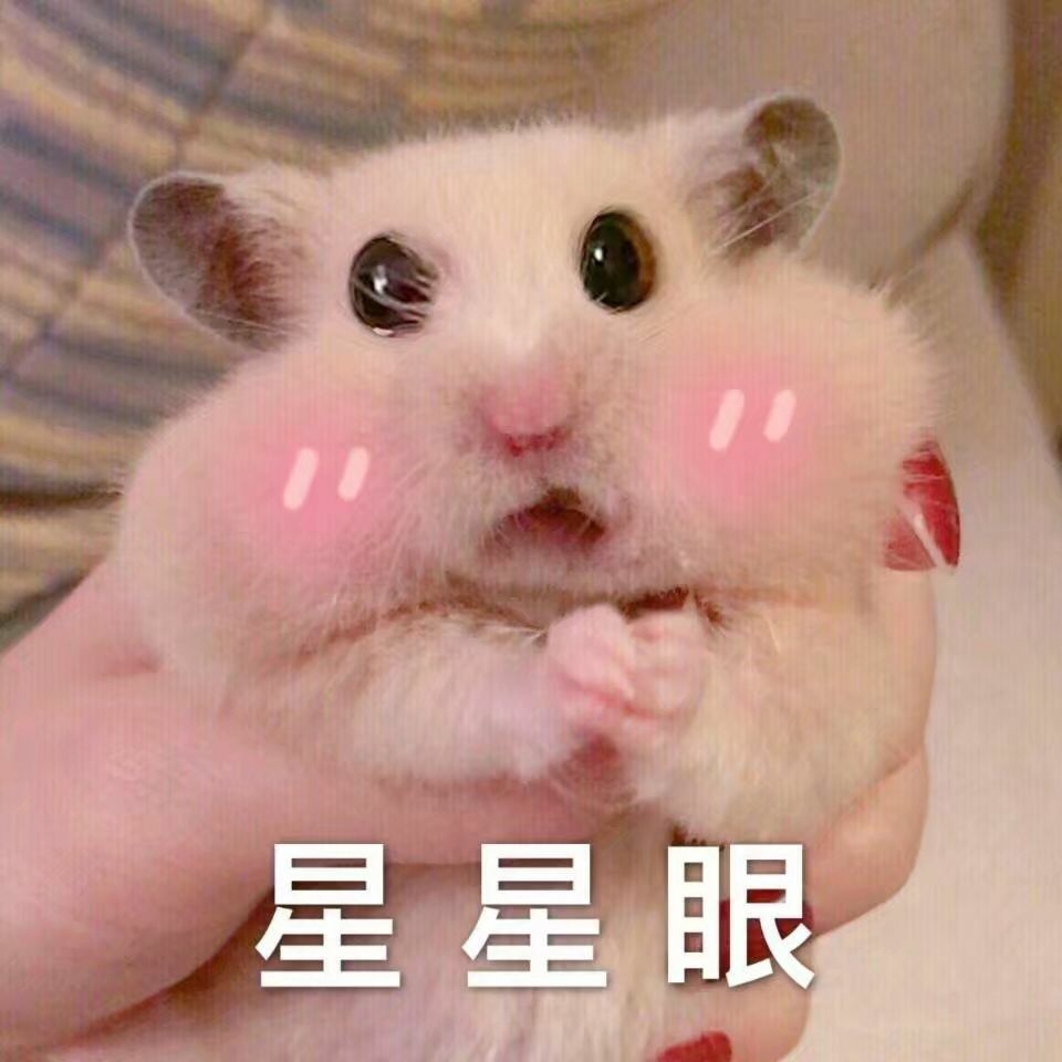 何猷君送的10克拉钻戒多少钱,何猷君求婚钻戒多少钱