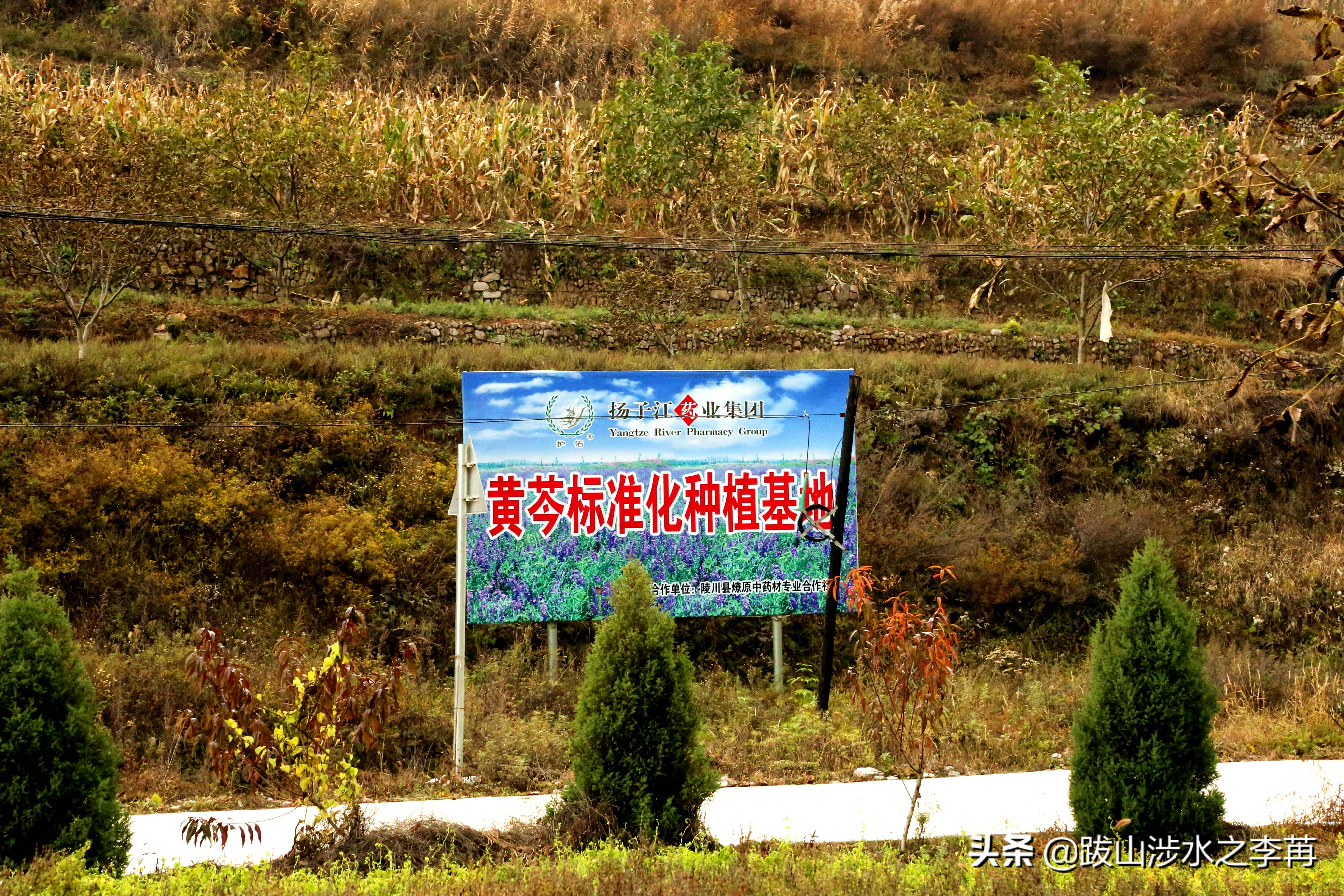 深藏在太行山中的古村落竹林沟,深山沟里的绝世古村