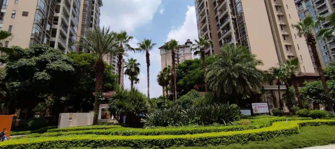 广州番禺越秀大学城星汇城踩盘,番禺踩盘