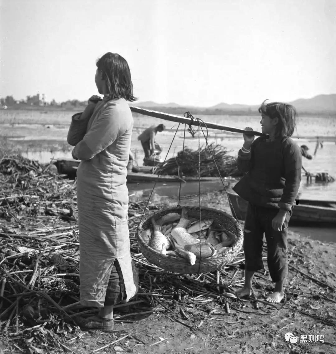 1934年的南京城,1944年南京视频