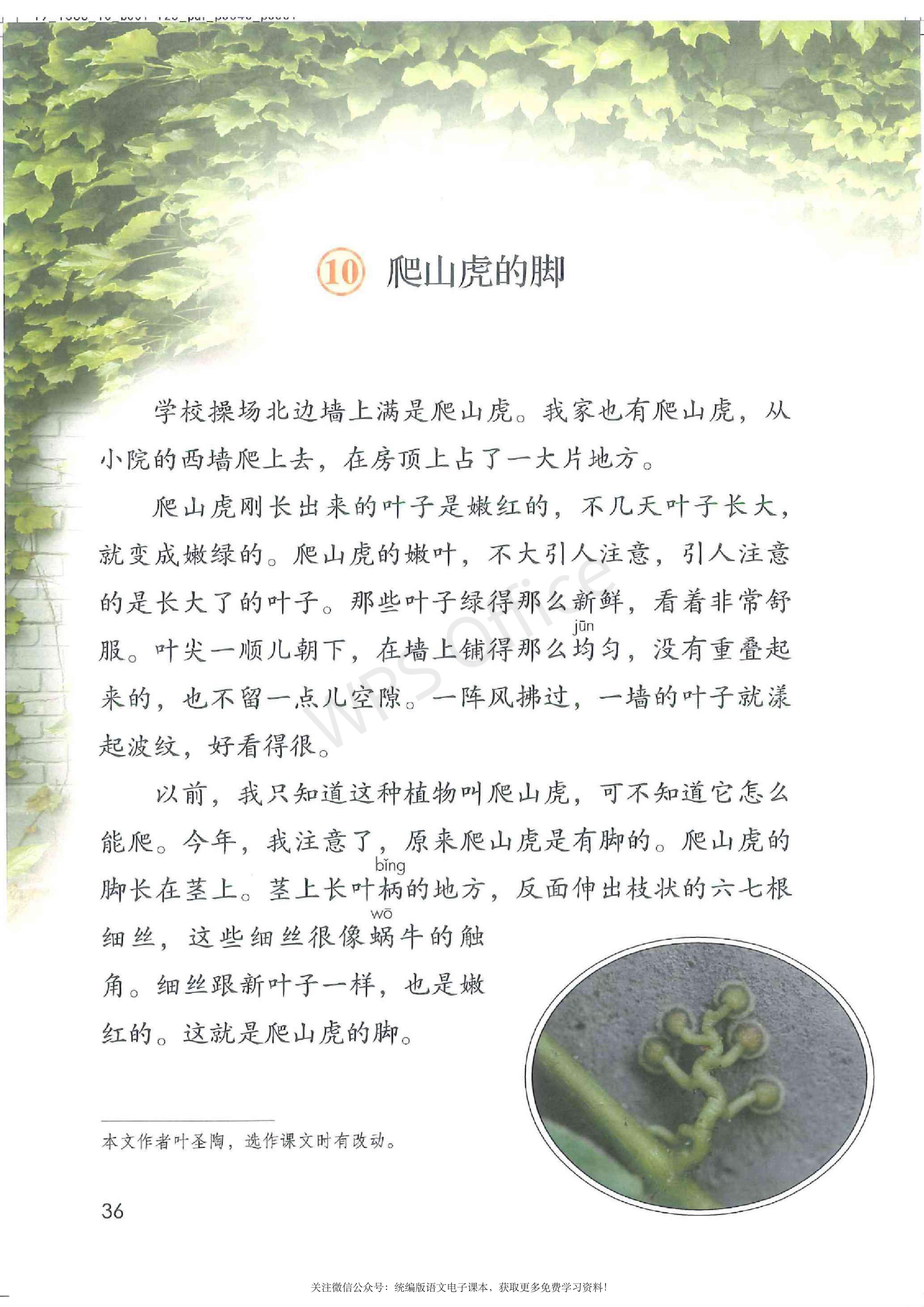 2020春部编版四年级下册语文课本,小学语文四年级课本