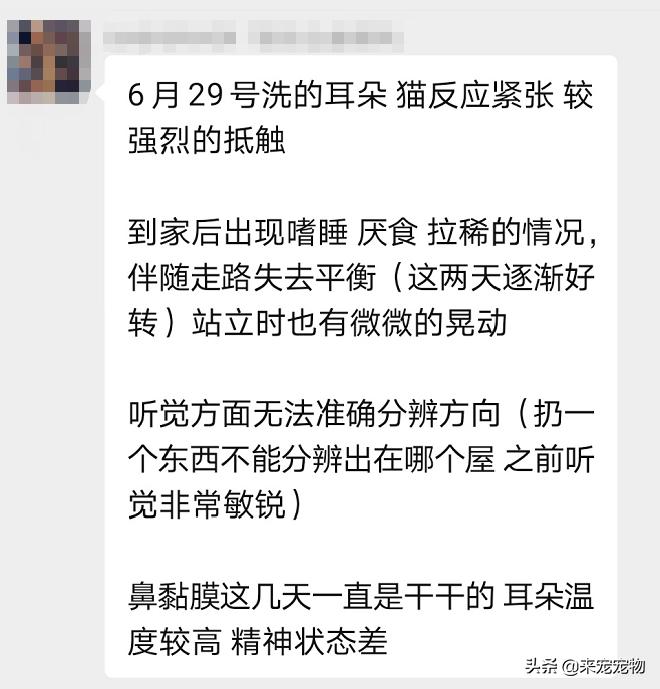 猫咪洗耳朵很不配合怎么办,生理盐水可以给猫咪洗耳朵吗