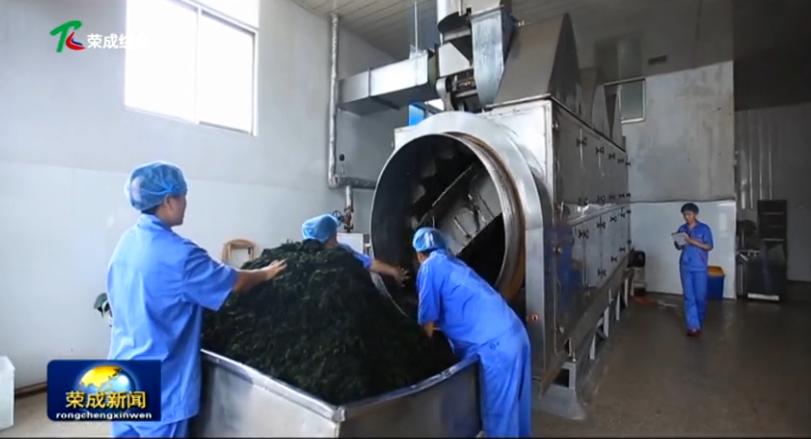 鸿洋神水产科技,威海荣成鸿洋神水产有限公司