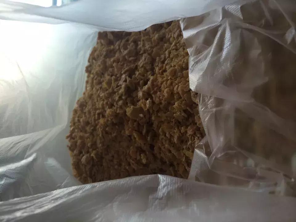 老花农不小心透露，花盆里倒3滴油，1个月爆盆，全年不用施肥