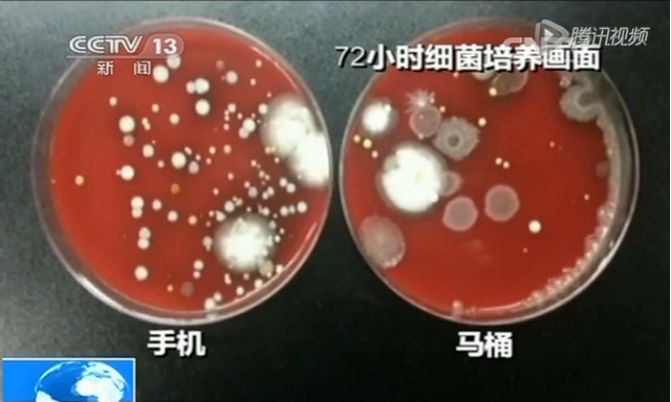 日本冠状病毒飞沫实验,日本病毒传染家庭实验