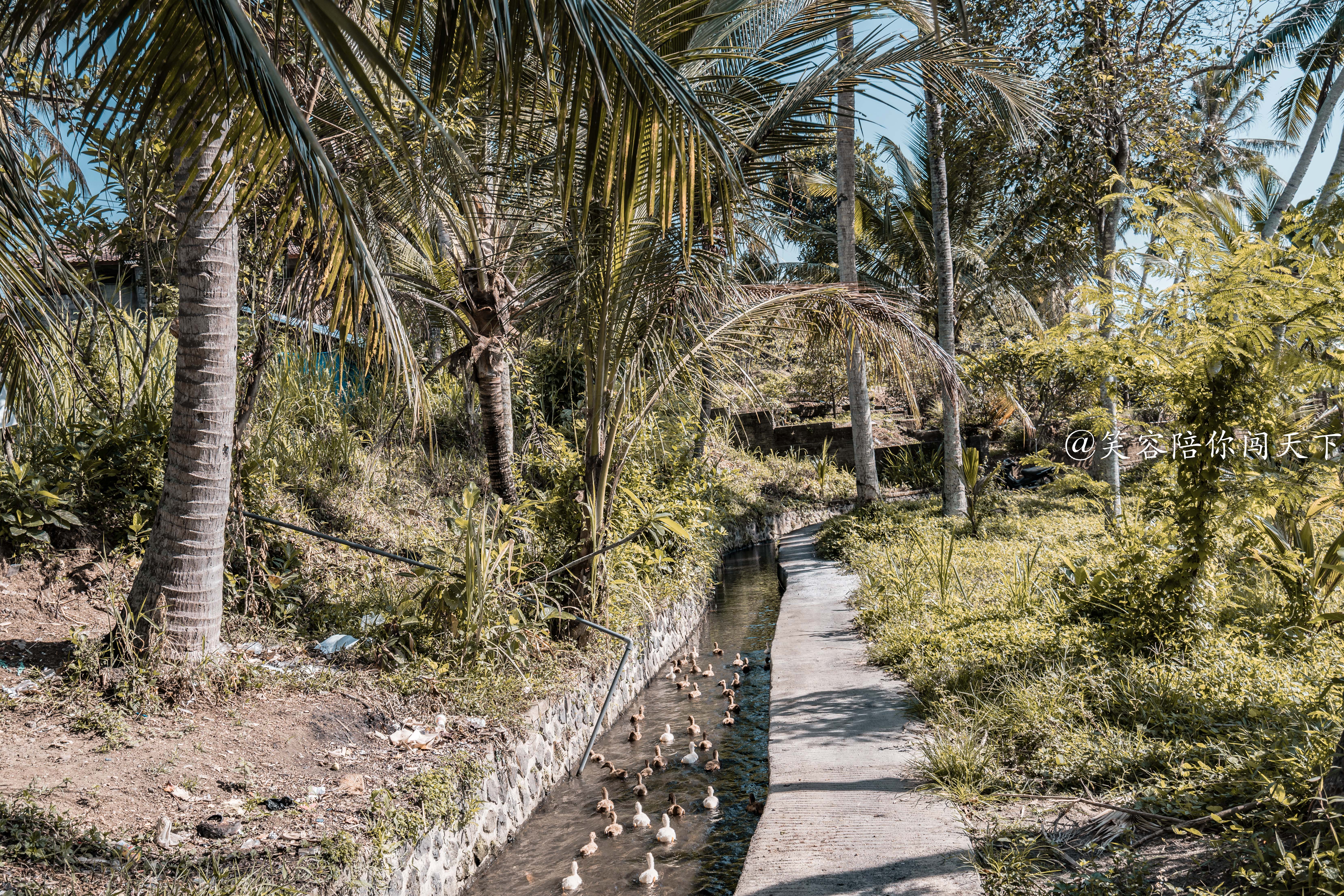 巴厘岛网红打卡地,网红打卡旅游胜地巴厘岛
