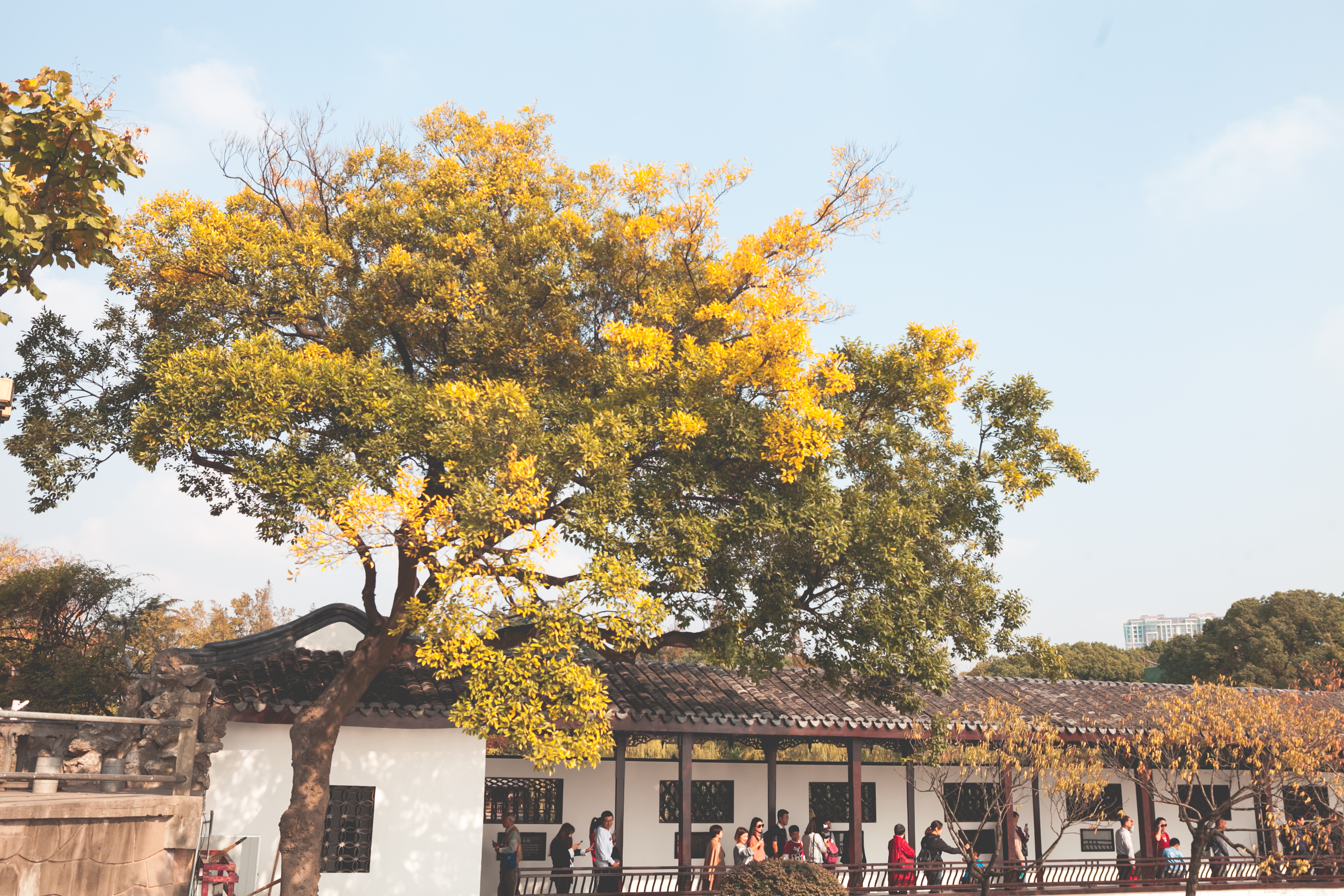 秋天的无锡美的醉人，去无锡旅行，这些好地方不要错过了